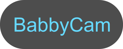 BabbyCam